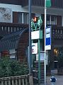 IMG_2462